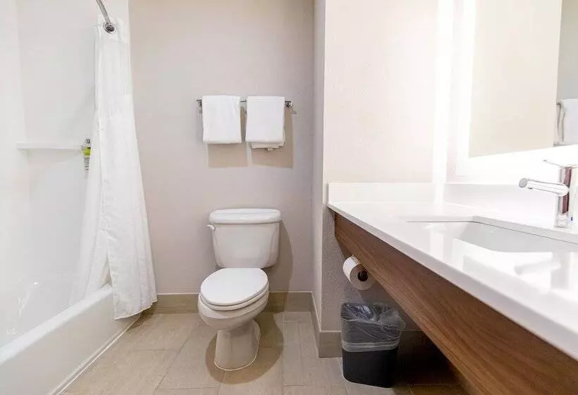 호텔 Holiday Inn Express Johnson City, An Ihg