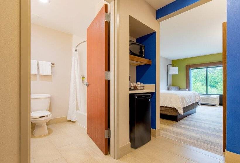 Отель Holiday Inn Express Johnson City, An Ihg