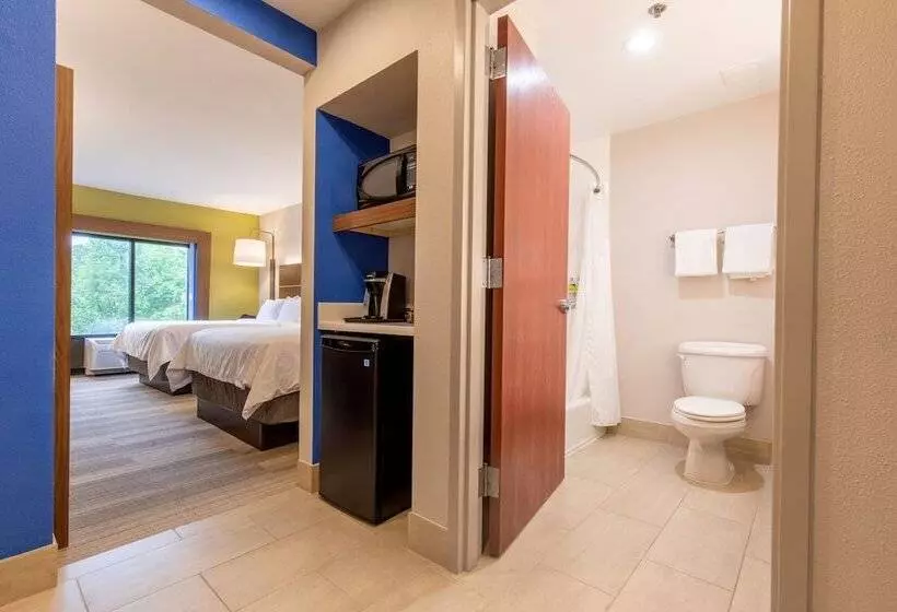 호텔 Holiday Inn Express Johnson City, An Ihg