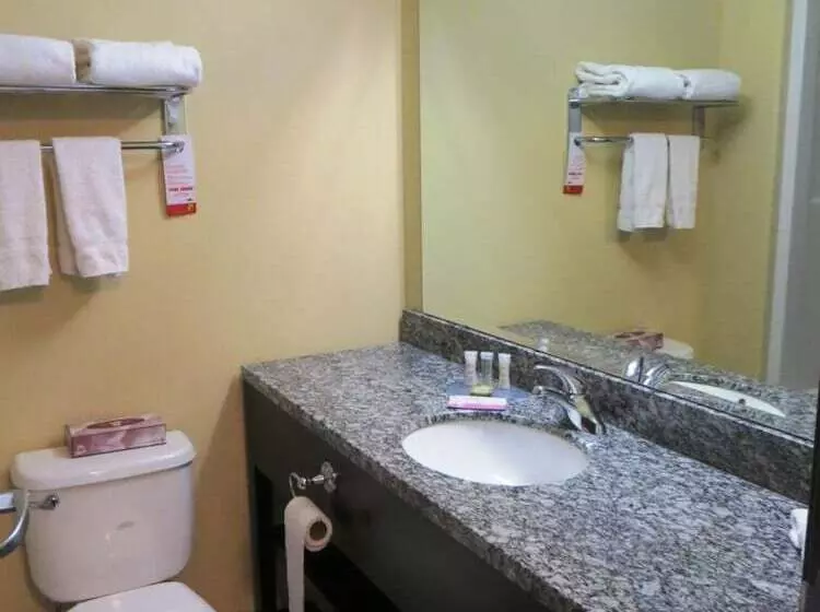 Hotel Super 8 By Wyndham Saskatoon Near Downtown