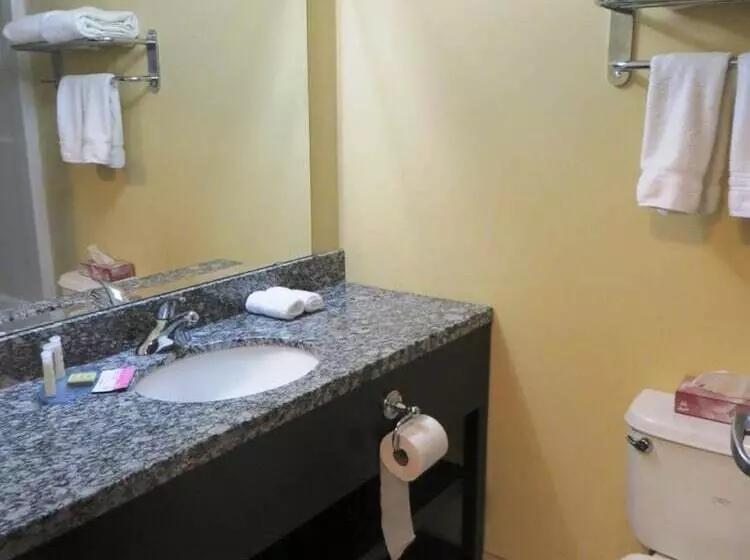 Hotel Super 8 By Wyndham Saskatoon Near Downtown