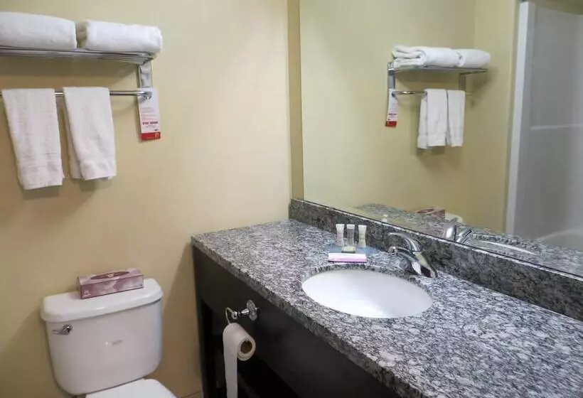 Hotel Super 8 By Wyndham Saskatoon Near Downtown