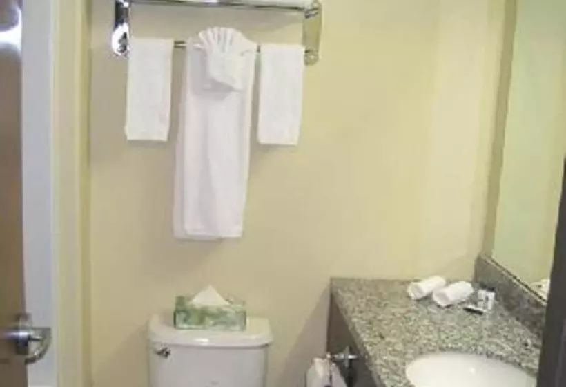 Hotel Super 8 By Wyndham Saskatoon Near Downtown