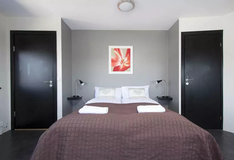 هتل Thor Guesthouse  Skolavordustigur