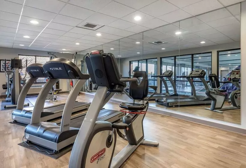 Отель Best Western Plus Castlerock Inn & Suites