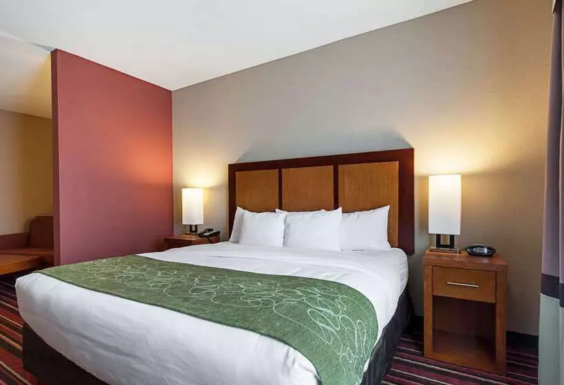 فندق Comfort Suites Sulphur Lake Charles