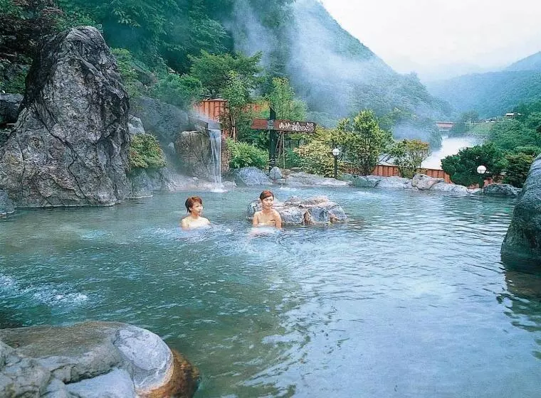 Отель Hodakaso Yamano