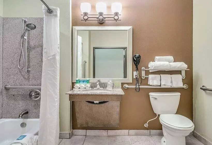 Hotelli Holiday Inn Express & Suites Lubbock Southwest – Wolfforth, An Ihg