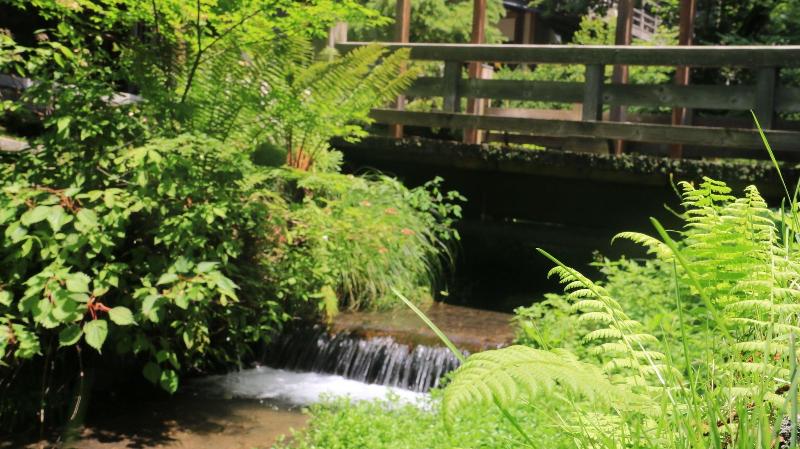 Hotel Shiotsubo Onsen