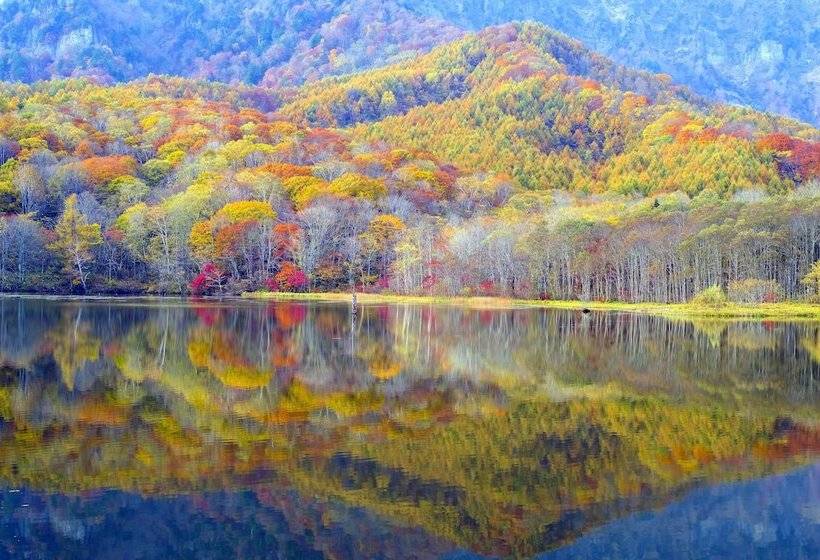 فندق Sotetsu Fresa Inn Naganozenkojiguchi