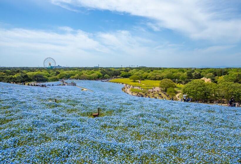 Szálloda Toyoko Inn Mito-eki Minami-guchi