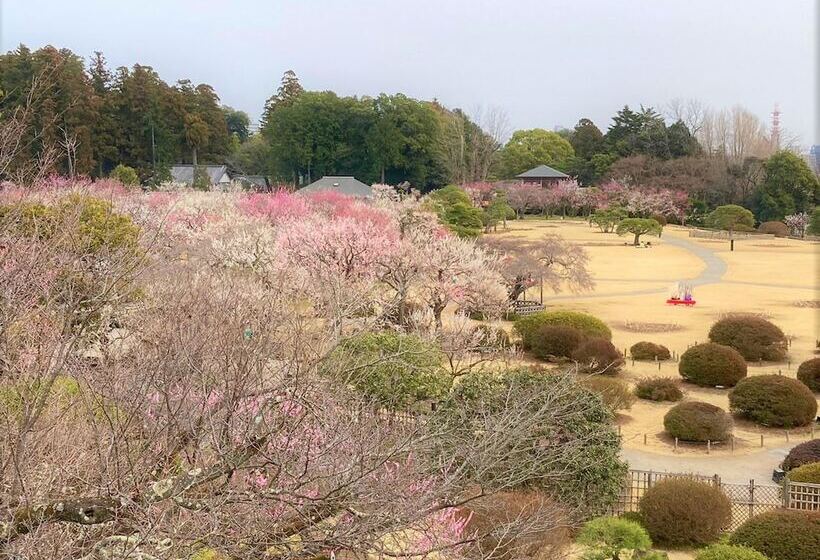 Szálloda Toyoko Inn Mito-eki Minami-guchi