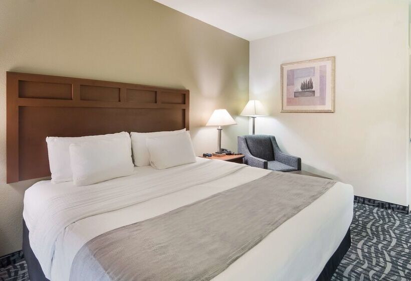 酒店 Best Western Comanche Inn