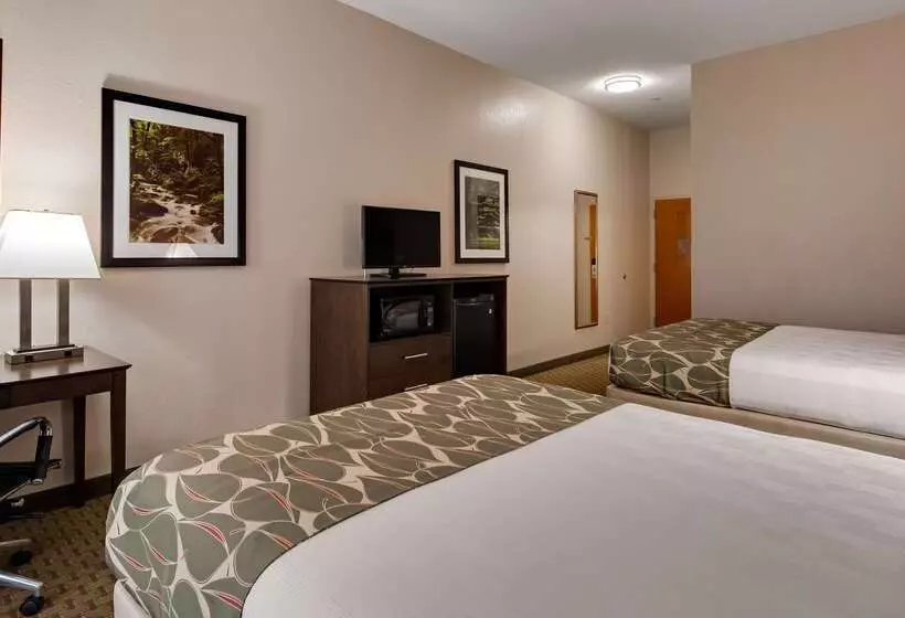 酒店 Best Western Executive Inn