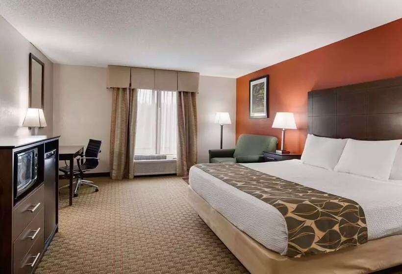 酒店 Best Western Executive Inn