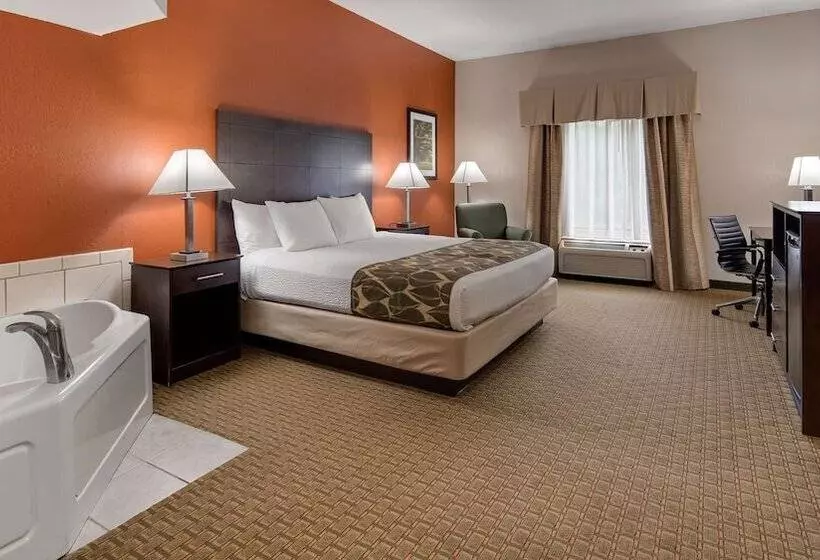 酒店 Best Western Executive Inn