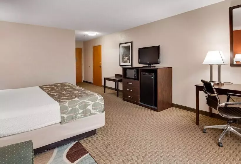 酒店 Best Western Executive Inn