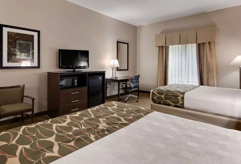 酒店 Best Western Executive Inn