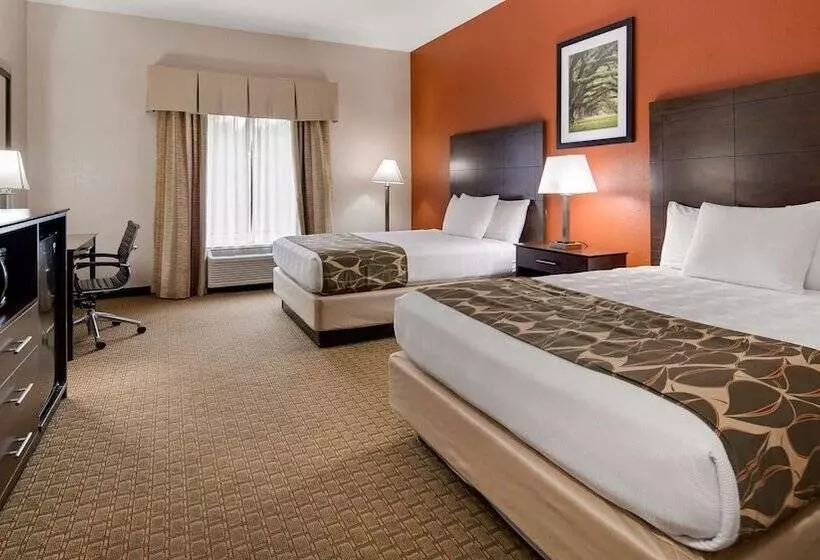 酒店 Best Western Executive Inn