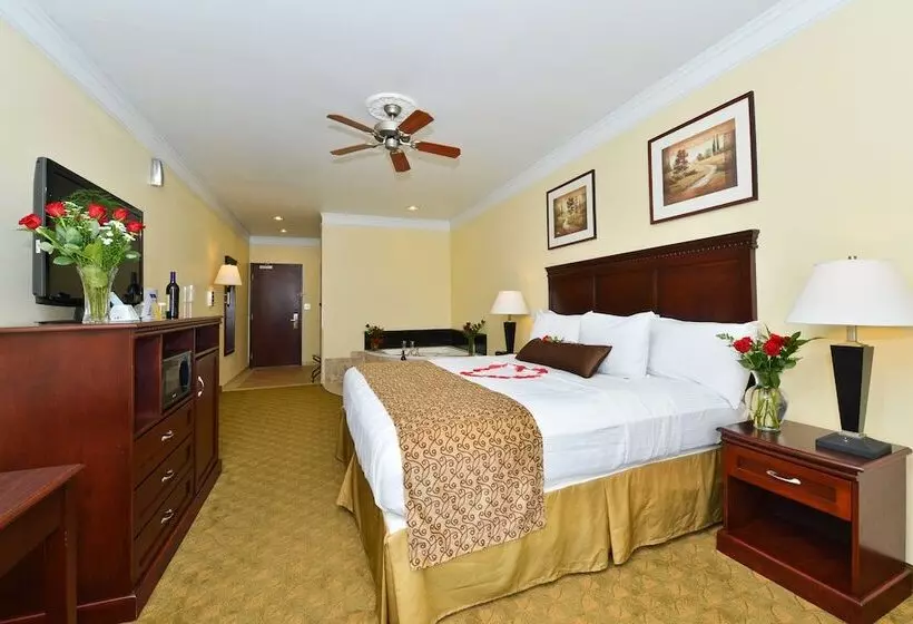 בית מלון כפרי Best Western Lone Star Inn