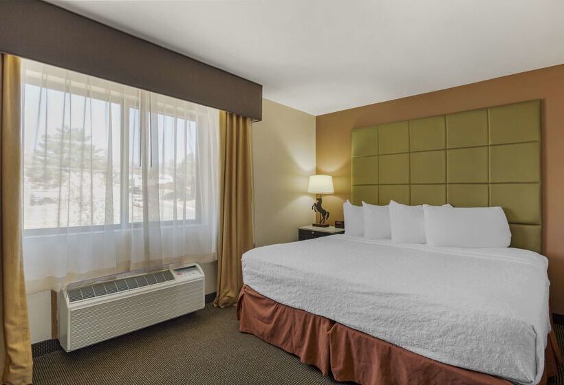 בית מלון כפרי Best Western Plus Country Inn & Suites