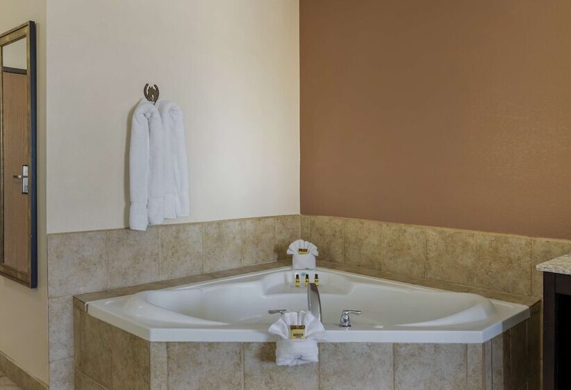 בית מלון כפרי Best Western Plus Country Inn & Suites