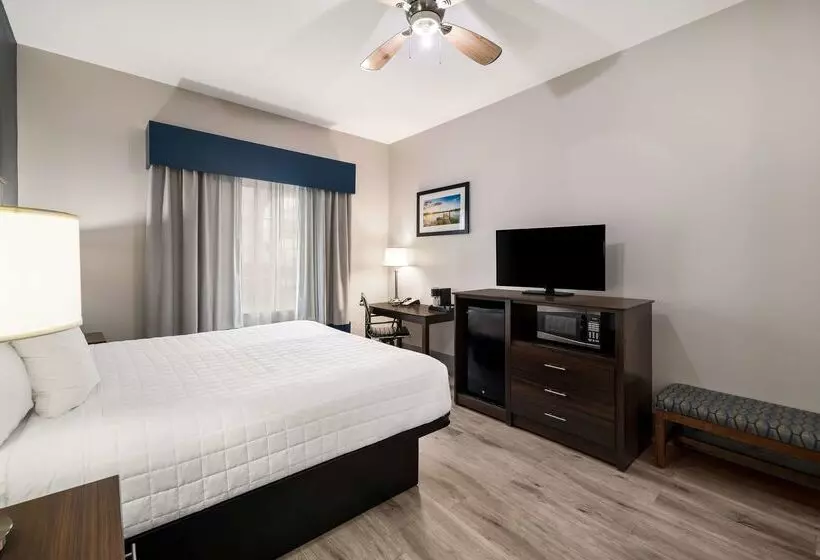 בית מלון כפרי Best Western Plus Lake Dallas Inn & Suites
