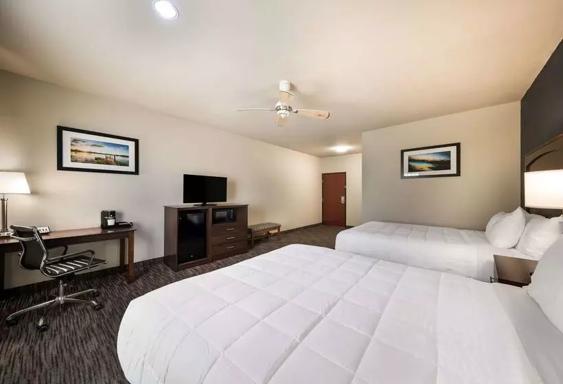 בית מלון כפרי Best Western Plus Lake Dallas Inn & Suites