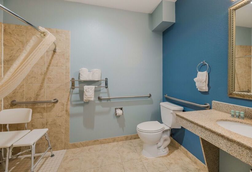 בית מלון כפרי Best Western South Plains Inn & Suites