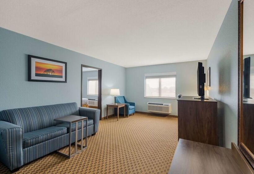 בית מלון כפרי Best Western South Plains Inn & Suites