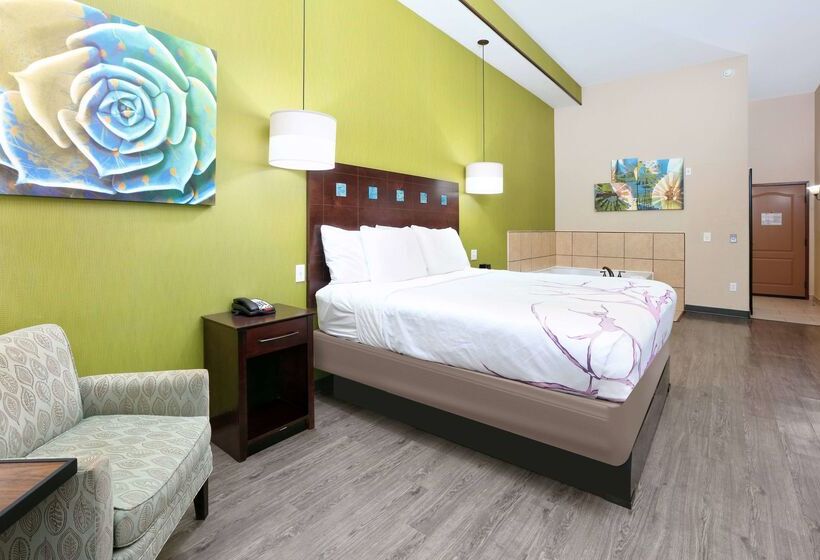 酒店 La Quinta By Wyndham Dallas Grand Prairie South