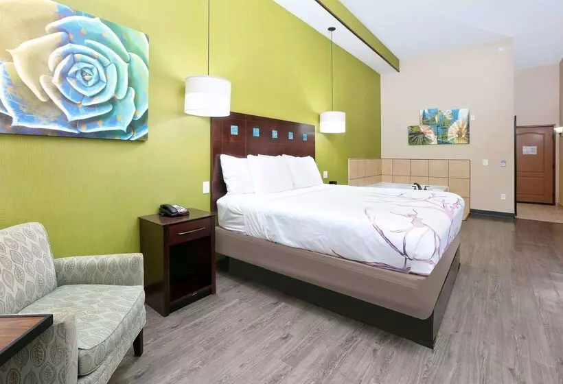 酒店 La Quinta By Wyndham Dallas Grand Prairie South