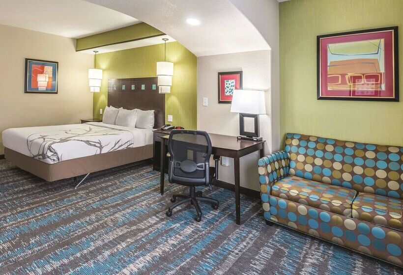 酒店 La Quinta By Wyndham Dallas Grand Prairie South