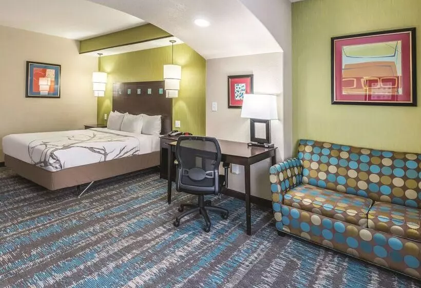 酒店 La Quinta By Wyndham Dallas Grand Prairie South