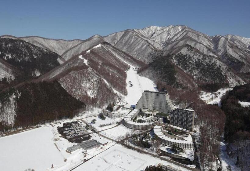 בית מלון כפרי Listel Inawashiro Wing Tower