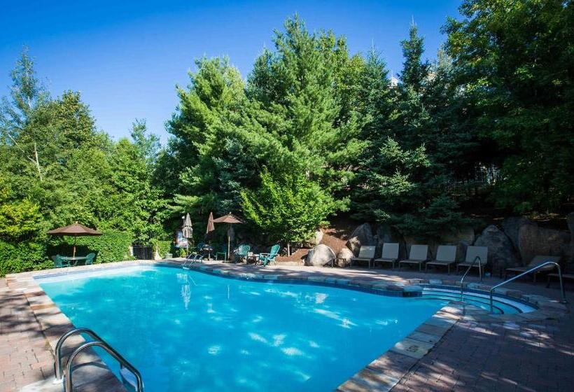 Отель Lodge De La Montagne