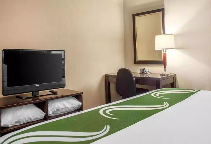 ホテル Quality Inn & Suites