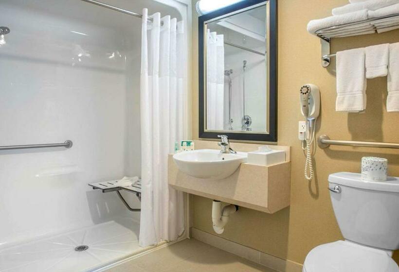 בית מלון כפרי Quality Inn & Suites