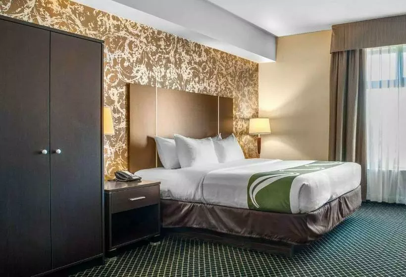 ホテル Quality Inn & Suites