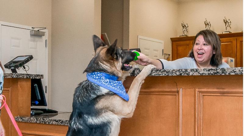 Candlewood Suites Longview, An Ihg