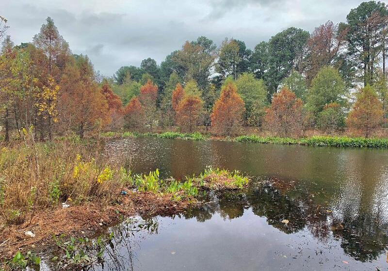 בית מלון כפרי Candlewood Suites Conway, An Ihg