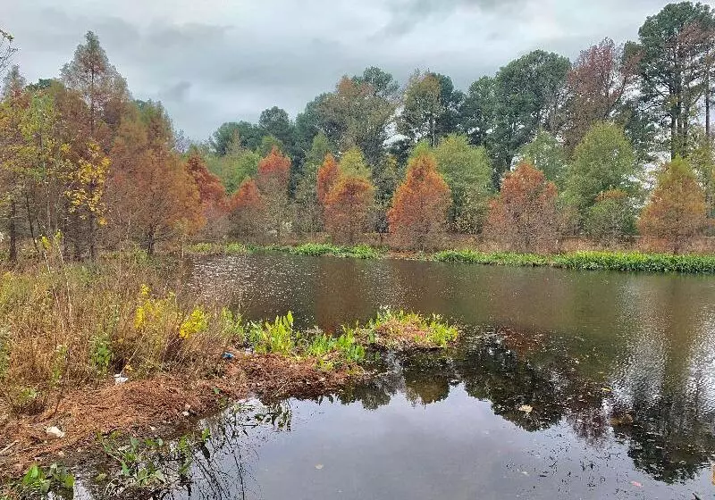 Отель Candlewood Suites Conway, An Ihg