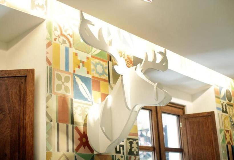 Del Carmen Concept Hotel Boutique By Chai