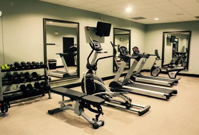 هتل Staybridge Suites Houston Iah Airport, An Ihg