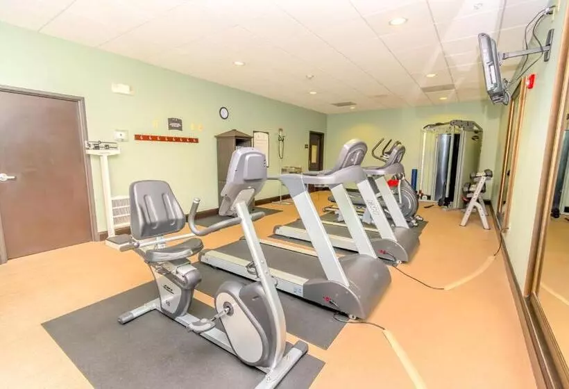 Hotel Staybridge Suites Houston Iah Airport, An Ihg