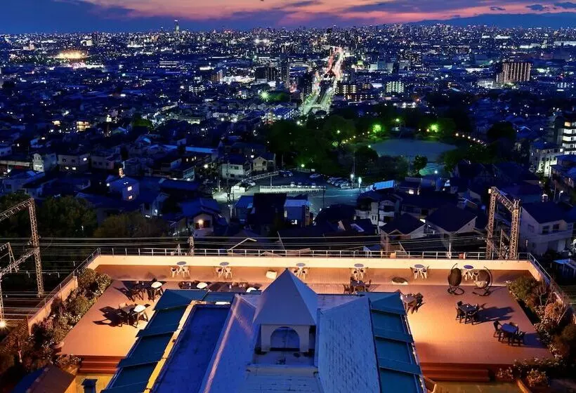 Отель Seiryu Japanese Spa Inn With Spectacular View In Osaka