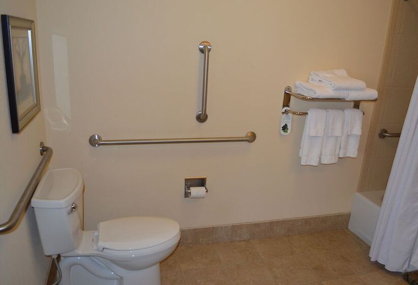 Hotel Staybridge Suites Milwaukee West Oconomowoc, An Ihg