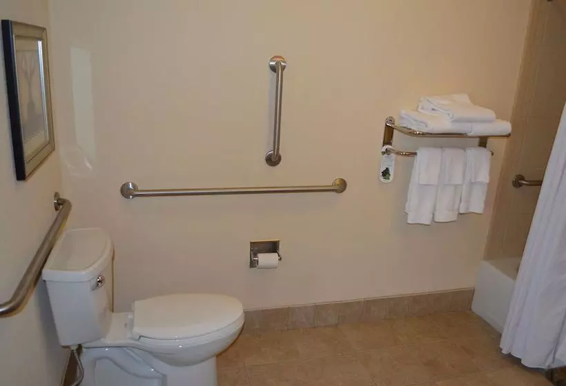 Отель Staybridge Suites Milwaukee West Oconomowoc, An Ihg