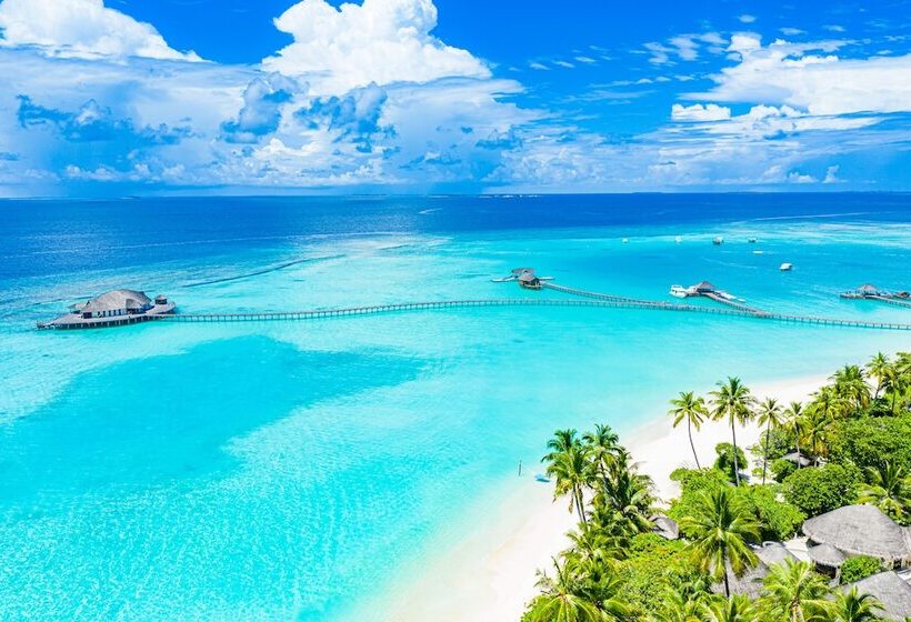 Hotel Sun Siyam Iru Fushi With Free Transfer