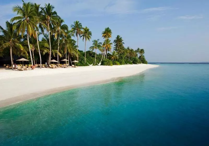 Hotel Sun Siyam Iru Fushi With Free Transfer